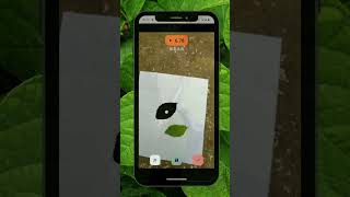 Petiole Pro Specific Leaf Area Accurate and Quick  Digital Leaf Area Meter in Your Smartphone [upl. by Augusto587]