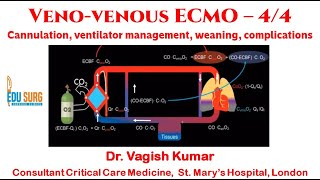 VV ECMO 44  Cannulation ventilator management weaning and complications  ICU essentials [upl. by Vilberg601]