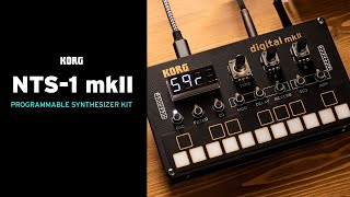 NuTekt NTS1 mkII digital kit  Overview amp Demo [upl. by Eisoj]