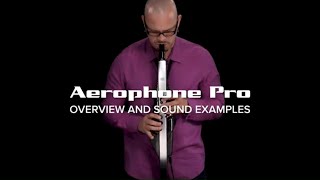 Roland Aerophone Pro Overview and Sounds [upl. by Zurkow]