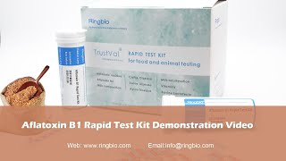 Training video for Ringbio Aflatoxin B1 Rapid Test Kit [upl. by Nirik153]