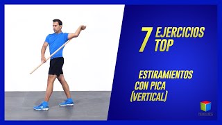 TOP 7 EJERCICIOS  Movilidad con PICA en vertical [upl. by Crary571]