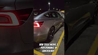 New Tesla Model 3 Performance In Quicksilver teslamodel3 quicksilver model3 model3performance [upl. by Suravaj]