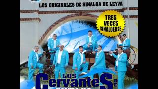 los cervantes de sinaloa de leyva 2012quiero cantarte a tiwmv [upl. by Kamal943]