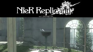 NieR Replicant quotShadowlord Castles Door Passwordquot [upl. by Boris]