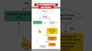 Extrasystoles et Tachycardie atriale focale  que disent les recommandations européennes [upl. by Horten]