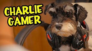 CHARLIE JE POSTAO GAMER Official Music Video [upl. by Nanahs]