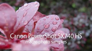 Canon PowerShot SX740 HS Macro Samples [upl. by Alik959]