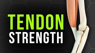 How to Really Strengthen Your Tendons  The 70 Rule [upl. by Melisent]