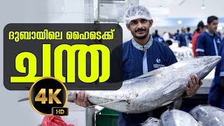 🐟 ഇങ്ങനെയും ഒരു ചന്തയോ HighTech Fish Market Adventure at Dubai Waterfront Market 🌐 [upl. by Jamilla]