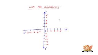 What are Quadrants [upl. by Ognimod666]