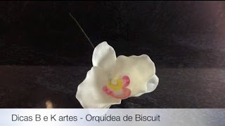 Orquídeas de Biscuit  Dicas B e K artes [upl. by Sjoberg]