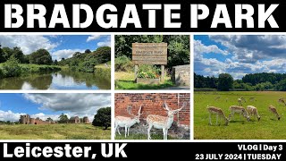 Bradgate Park Leicester Travel Vlog 2024  Full Tour of Historic Deer Park amp Ruins of Bradgate House [upl. by Hecker]