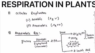 RESPIRATION IN PLANTS NOTESbotanybydrjaswinderkaur [upl. by Etyam]