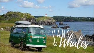 Vans and Whales  Vinland Vanlife 4 VANLIFE in a VW BUS [upl. by Adallard320]