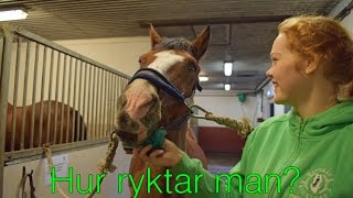 Hur ryktar man en häst [upl. by Manella728]