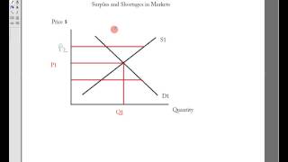 Kiwi Andy explains Surplus and Shortages in Markets Basic Economics [upl. by Mehta]