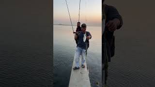 jubail indojubail fishing [upl. by Jermyn571]