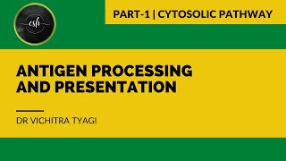 ANTIGEN PROCESSING AND PRESENTATION PART1 CYTOSOLIC PATHWAY [upl. by Florry]