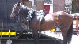 Matthew Macfadyen Behind the scenes of Ripper Street Dublin Ireland 22 May 2013 112 [upl. by Dewees]