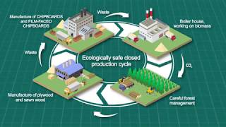 Where and how plywood chipboards filmfaced chipboards sawn wood is made [upl. by Osber]