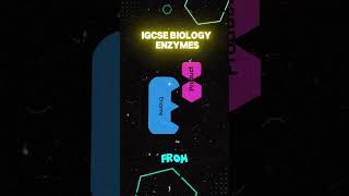 IGCSE biology 2025 Enzymes biologycurriculum [upl. by Cari85]