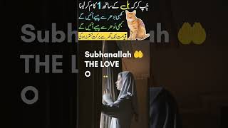 🐱Billi Par Ye Wazifa Jo Kar le Uske Ghar Me Barkat Kbi Khatam Ni Hogi🐈duaquotes shorts wazifa [upl. by Reffinej]