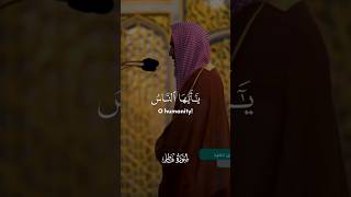 Surah Fatir Peaceful recitation by Sheikh Ahmed Taleb Hameed quran recitation peacefulvoice [upl. by Onivag]