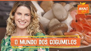 TUDO SOBRE OS COGUMELOS veja como lavar guardar e cozinhar esses ingredientes  Cozinha Prática [upl. by Skilken]