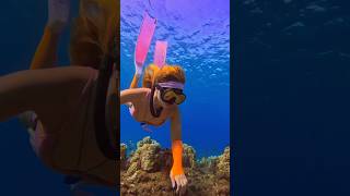 Freediver explores the reef🧜‍♀️ freediver freediving oceansounds underwater mermaidlife asmr [upl. by Nodnar582]