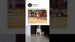 Breezer my beautiful baby video viral sorts ❤️ [upl. by Lunseth]