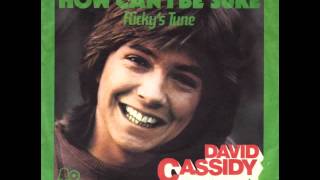 David Cassidy  How Can I Be Sure [upl. by Aggappora662]