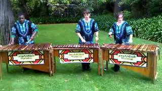 Scatterlings for Africa  African marimba version [upl. by Annovaj]