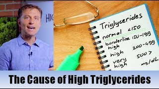 The True Cause of High Triglycerides – Dr Berg [upl. by Groh]