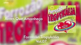 Forrozão Tropykália  Vol 7  Antes Que Amanheça [upl. by Lien]