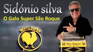 SIDONIO SILVA  O GALO SUPER SÃO ROQUE [upl. by Tiffy]