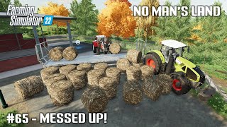 Selling Poplar Bales Building Manure Heap  65 No Mans Land  Farming Simulator 22 [upl. by Lori]