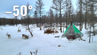 Life of Mongolia Nomads near the borders of Russia Tsaatan life in Mongolia in winter [upl. by Dedra]