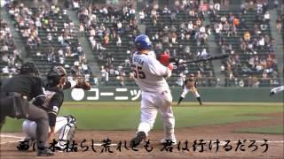 オリックス・バファローズ SKY PV 2013（歌詞あり） [upl. by Samuele19]