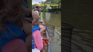 Fishing Caney Fork River leggsoutdoors [upl. by Enobe]