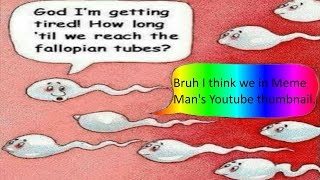 How Long Till We Reach Those Fallopian Tubes Meme Compilation [upl. by Sitelc]