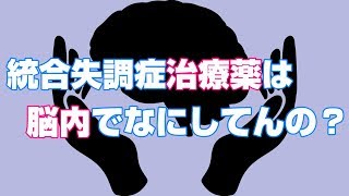 【なぜ良くなる？】統合失調症治療薬は脳内で何をしているのか？【ドパミン仮説】 [upl. by Orest]