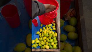 Refreshing Lemon Juice 🍋 shorts streetfood lemonjuice nimbupaani juice foodievai indianfood [upl. by Michale437]