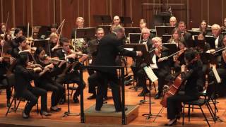 Brahms Symphony No 1 in C minor Op 68 [upl. by Arval851]