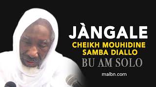 Jàngale Cheikh Mouhidine Samba Diallo bu am solo  malbntv [upl. by Zoara64]