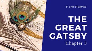 Great Gatsby  Chapter 3 Audiobook [upl. by Sirovart929]