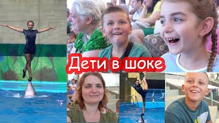 VLOG Мы поехали в дельфинарий НЕМО [upl. by Sil]