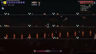 Terraria Calamity infernum mode Perforators [upl. by Cherice673]