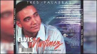 MAESTRA INTRO ACAPELLA ELVIS MARTINEZ PARA MUSICOLOGOS [upl. by Terry623]