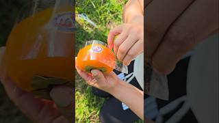 Apple Sticker Removal TIPS Every Camper Should Know [upl. by Nadler72]